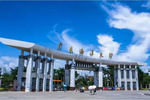 全国试点 湛江这次靠的是一刻钟便民生活圈