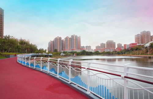 拟更名 泉州师院将更名 泉州大学 ,网友 理想很好,难度不小