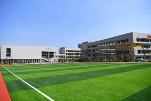 多图预警 合肥11所新校图片曝光 含幼儿园 小学
