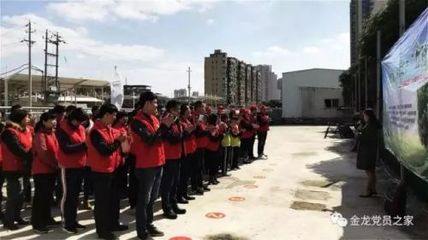 金龙街道刮起学雷锋“红旋风”,南低渠变美了