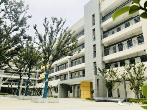 实探江宁新学校 9月开学 周边房价2.4万 ㎡