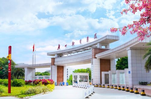 广东新增4所本科院校申报开设播音与主持艺术专业